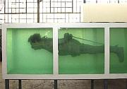 Saddam Hussein in an aquarium by David Cerny