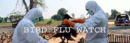 Bird Flu Watch